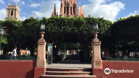 Jardín Allende