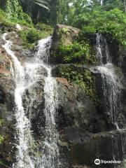 메이플라워 보카위나 국립공원