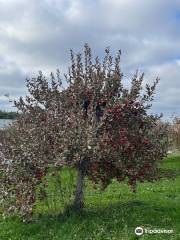 Sekapp Orchard