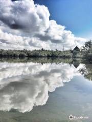 Prawn's Lake Conservation Group