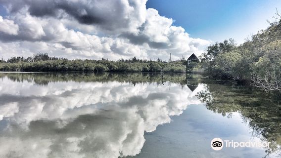 Prawn's Lake Conservation project