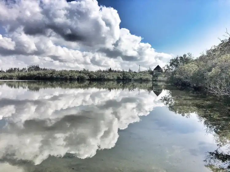 Hotels near Prawn's Lake Conservation project