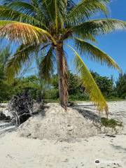 Grum Ma's House Cultural Center /Taste Bahamas