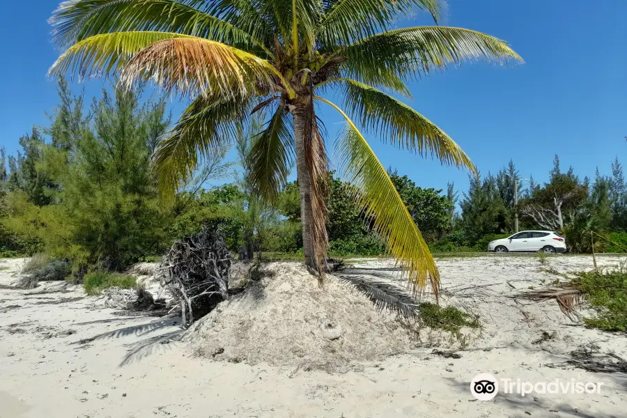 Grum Ma's House Cultural Center /Taste Bahamas