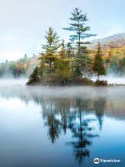 Ricker Pond State Park