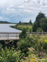 Trueman Blueberry Farms