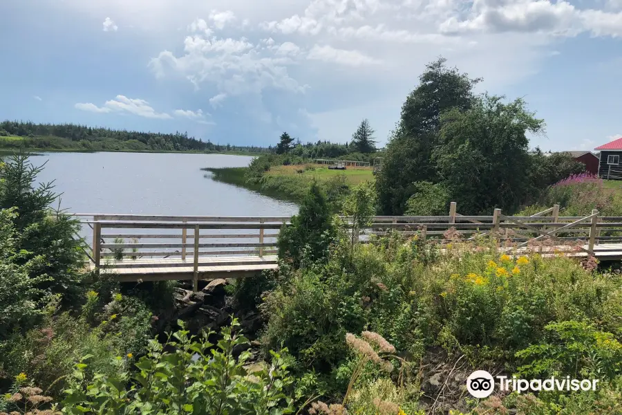 Trueman Blueberry Farms