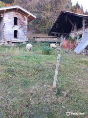 Ferme de l'Aberieux