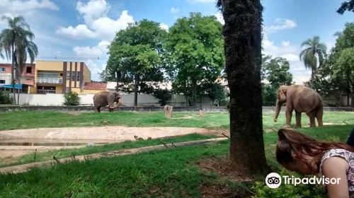 Parque Zoologico Municipal Quinzinho De Barros