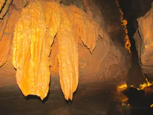 Forbidden Caverns