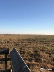 Big Branch Marsh National Wildlife Refuge