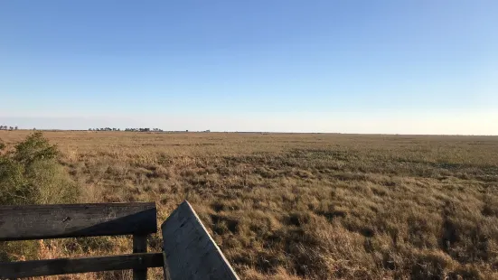 Big Branch Marsh National Wildlife Refuge