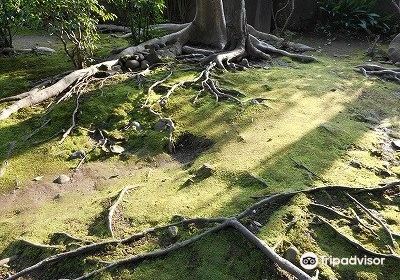 夏目漱石 内坪井旧居