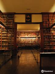 Biblioteca Patrimonial Recoleta Dominica