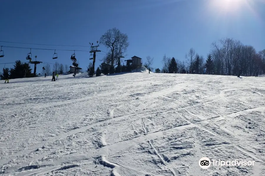 Snow Trails