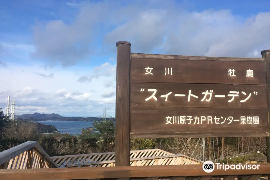 Onagawa Nuke PR Center