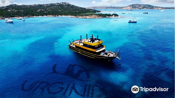 Virginia Motor Yacht