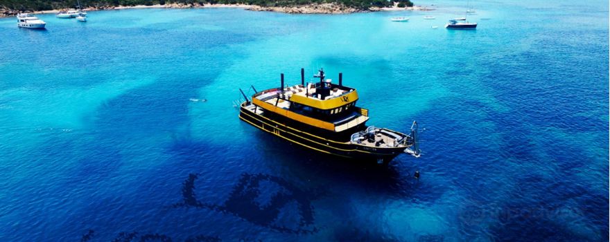Virginia Motor Yacht