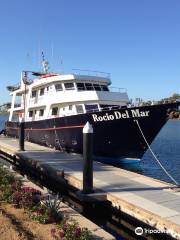 Socorro Island