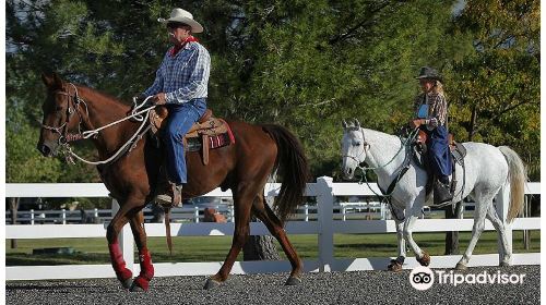 Arizona Equestrian Connection