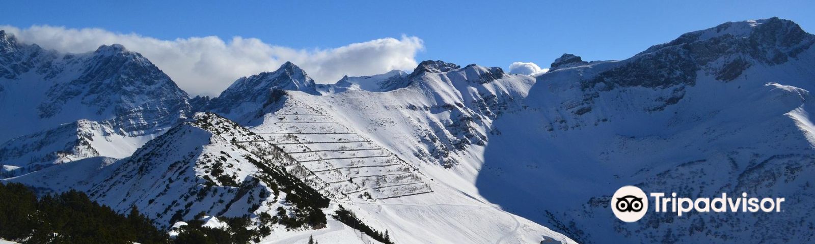 TriesenbergDay tours