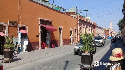 Plaza Principal - Jardin del Grande Hidalgo