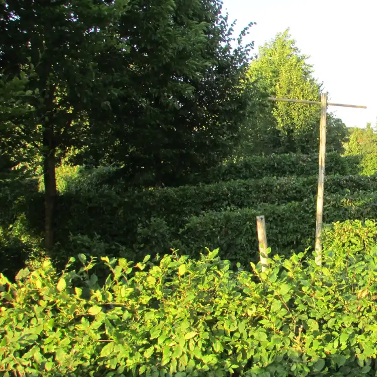 Hotels in Gemeinde Helpfau-Uttendorf