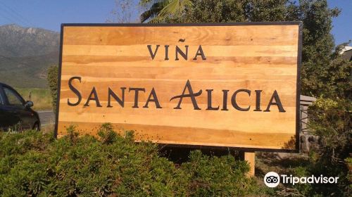 Vina Santa Alicia