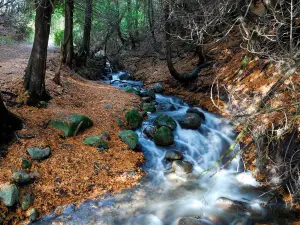 Marais-Léon-Provancher Nature Reserve