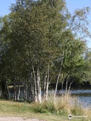 Ovresetertjern Lake