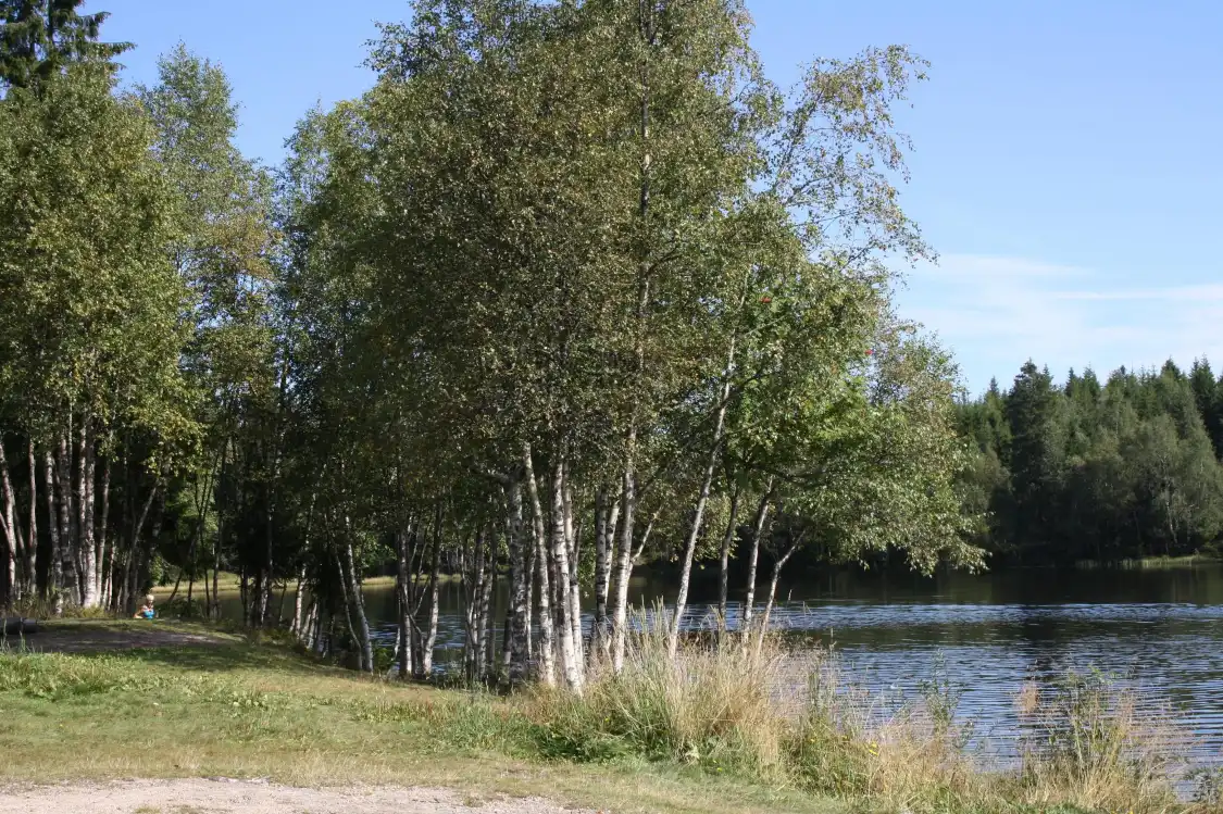 Hotel in zona Ovresetertjern Lake