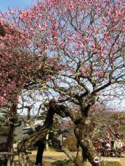 Shingonshu Kansho Temple