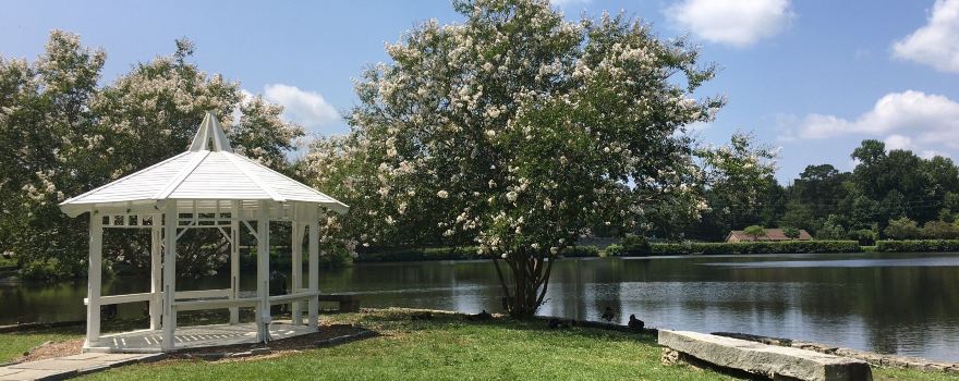 Briscoe Park