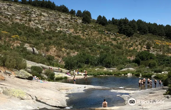 霍約斯德爾埃斯皮諾