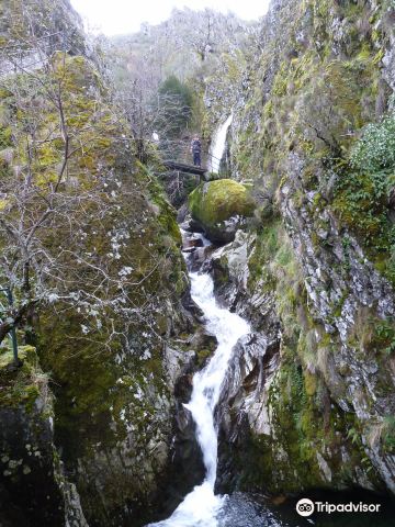 Covilha