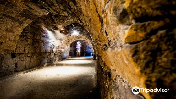 弗萊登斯坦恩城堡