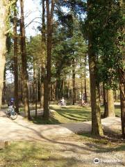 Go Ape Haldon Forest Park