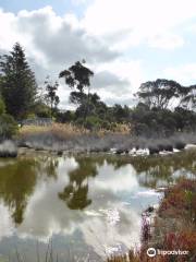 Curalo Lake