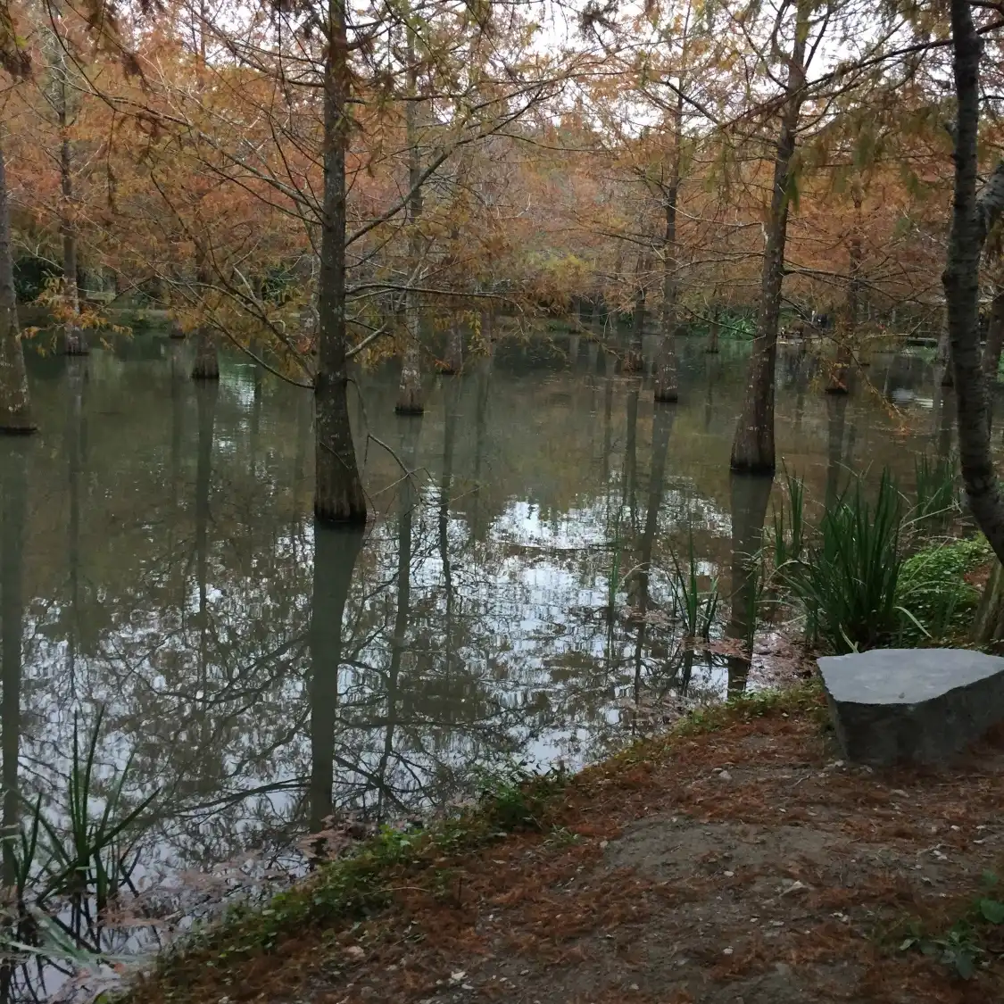 鈺展苗圃附近的飯店