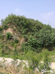 Gucheng Village Site