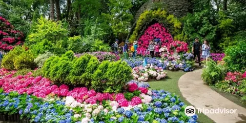 Hua Lou Farm