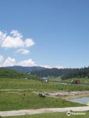 Gulmarg Golf Course