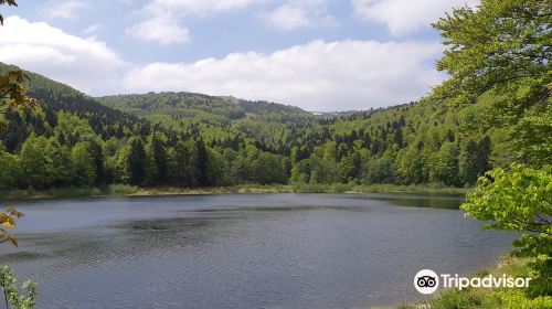 Lac de la Lauch