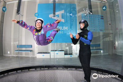 Aerodium Logatec