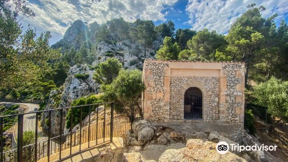 Ricardo Roca Viewpoint
