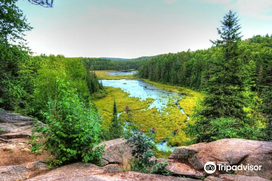 Beaver Pond Trail