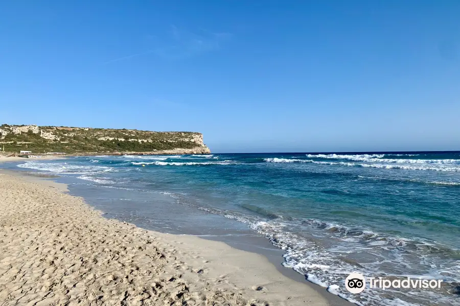 Playa de Son Bou