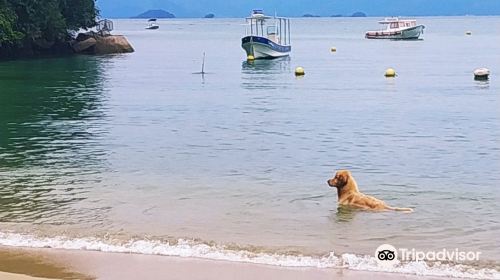 Fazenda Beach