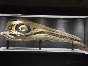 PALEOGALERIE