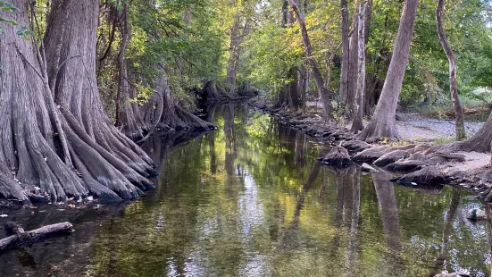 Cibolo Center for Conservation